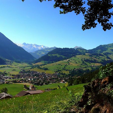 Sonnegg Hotel Zweisimmen Exterior foto
